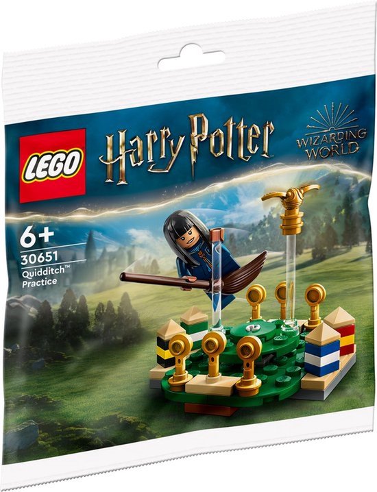 LEGO 30651 Harry Potter Zwerkbal Training Polybag van LEGO