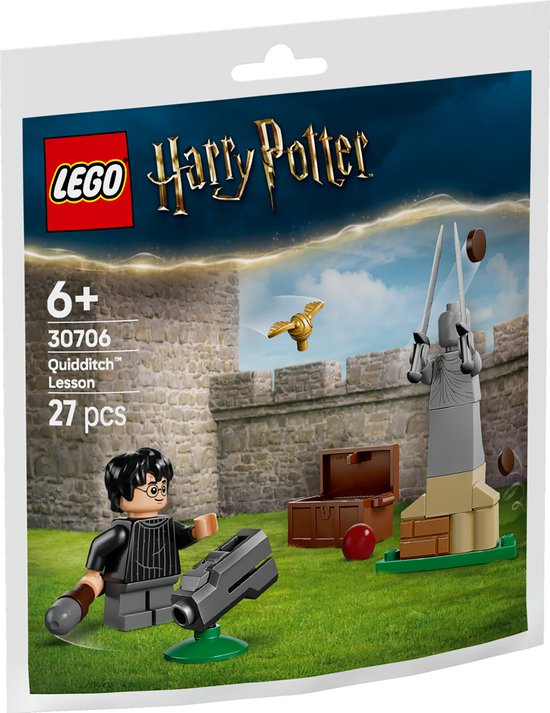 LEGO 30706 Harry Potter - Zwerkbal Les (Paperbag) van LEGO