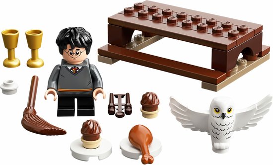 LEGO Harry Potter™ en Hedwig - 30420 - Polybag van LEGO