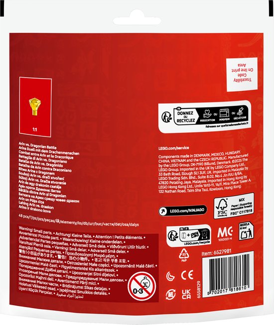 LEGO Ninjago 30700 - Arin VS Draconiër (Paperbag) van LEGO