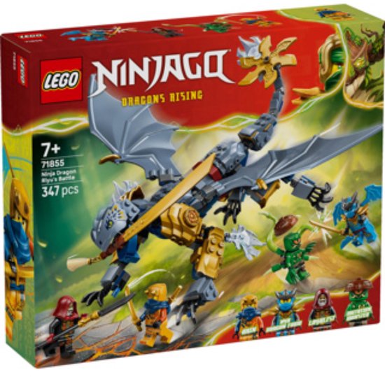 LEGO Ninjago Ninja Dragon Riyu's Battle Ex - 71855 van Merkloos