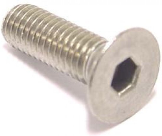 Remschijfbout Bofix M8x30 inbus met verzonken kop RVS (10 stuks) van Rems